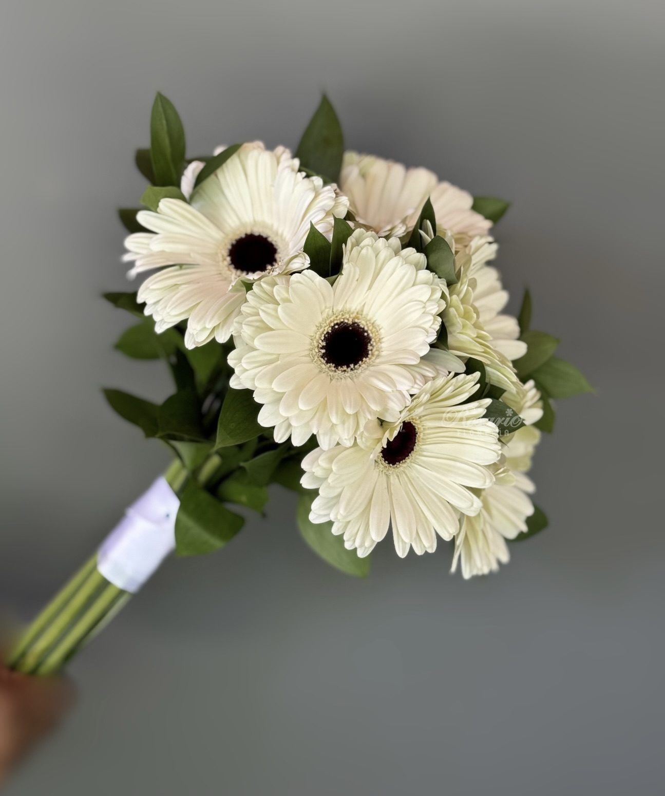 Especiales San Valentín - m1