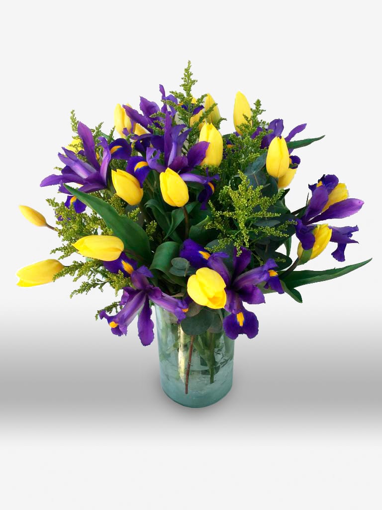 FLORERO DE TULIPANES e IRIS
